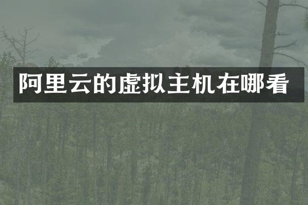 阿里云的虚拟主机在哪看