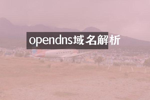 opendns域名解析