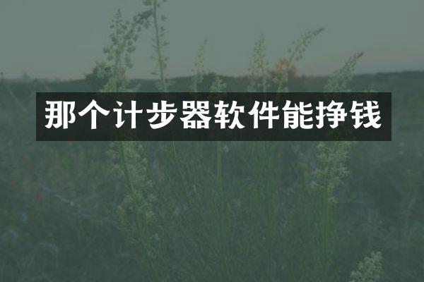 那个计步器软件能挣钱