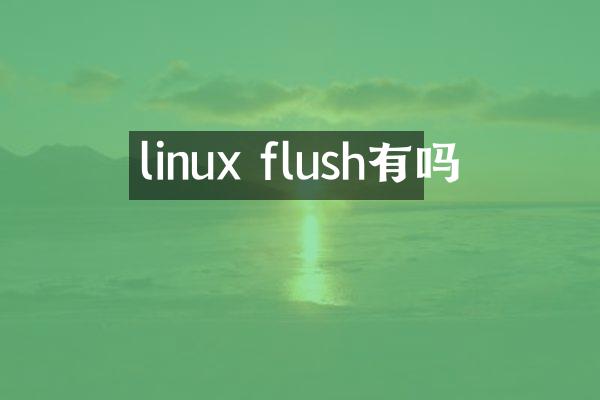 linux flush有吗