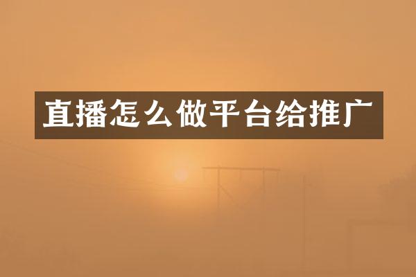 直播怎么做平台给推广