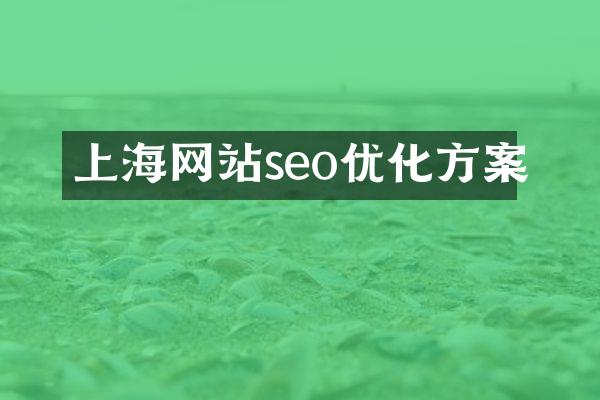 上海网站seo优化方案