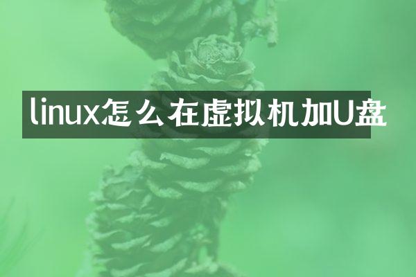 linux怎么在虚拟机加U盘