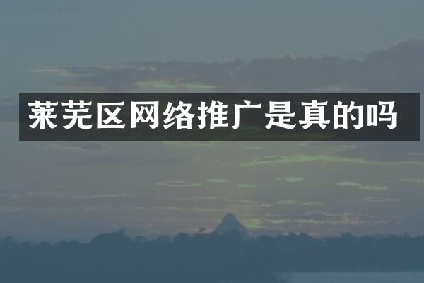 莱芜区网络推广是真的吗