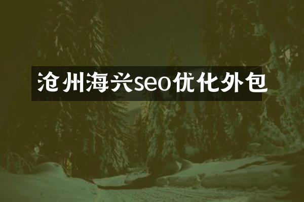 沧州海兴seo优化外包