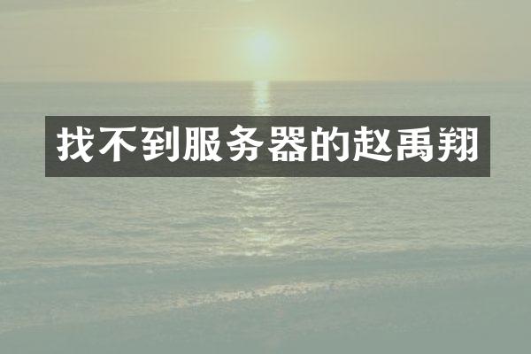找不到服务器的赵禹翔
