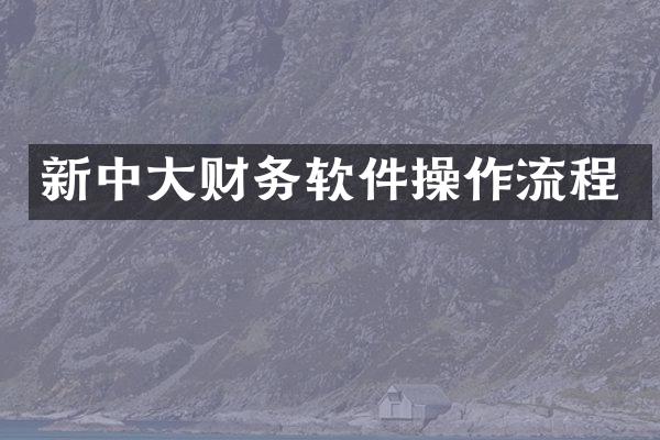 新中大财务软件操作流程
