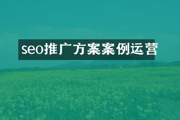 seo推广方案案例运营