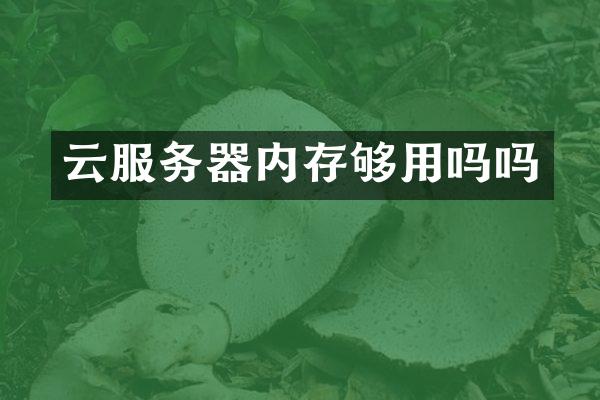 云服务器内存够用吗吗