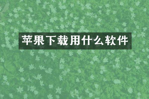 苹果下载用什么软件