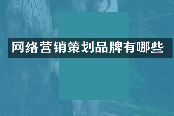 网络营销策划品牌有哪些