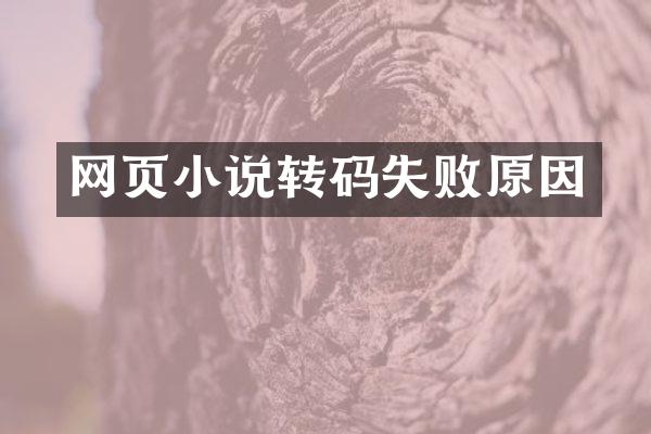 网页小说转码失败原因