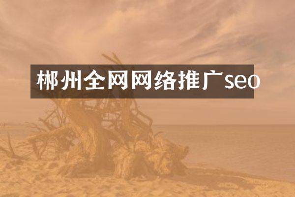 郴州全网网络推广seo