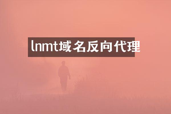 lnmt域名反向代理