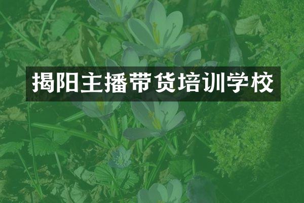 揭阳主播带货培训学校