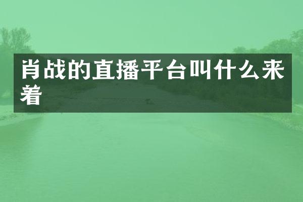 肖战的直播平台叫什么来着
