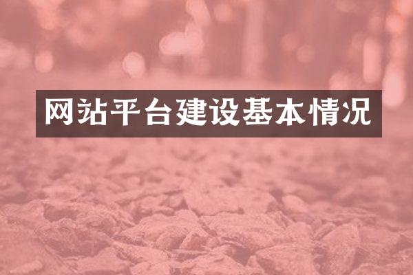 网站平台建设基本情况