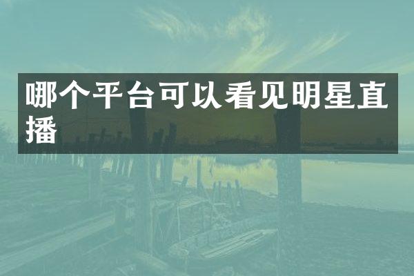 哪个平台可以看见明星直播