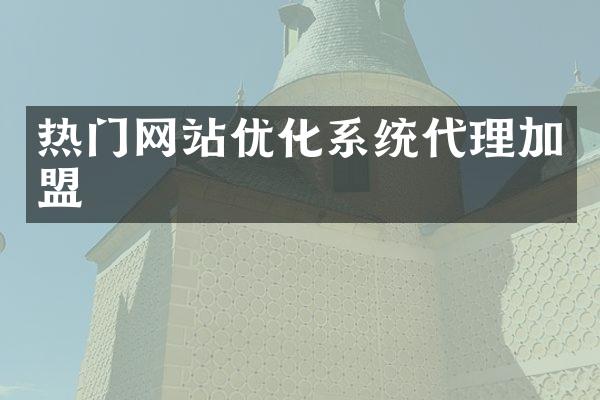 热门网站优化系统代理加盟