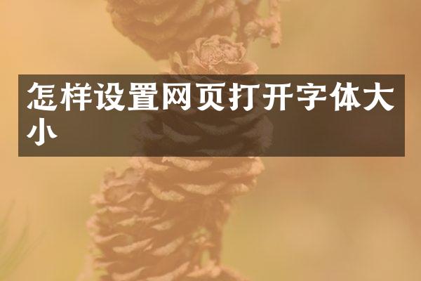 怎样设置网页打开字体大小