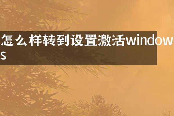 怎么样转到设置激活windows