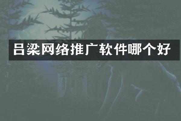 吕梁网络推广软件哪个好