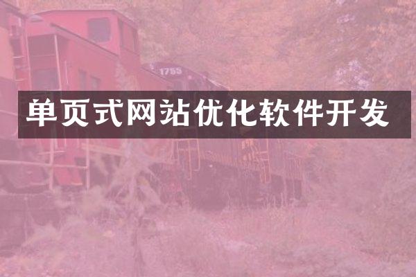 单页式网站优化软件开发