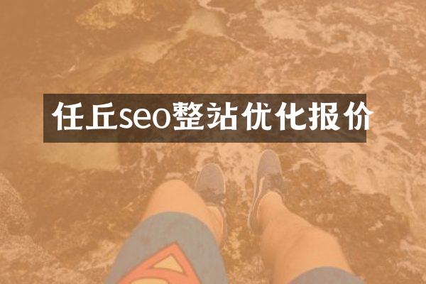 任丘seo整站优化报价