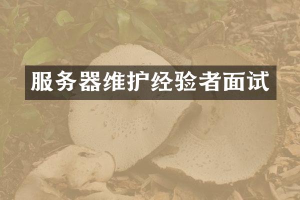 服务器维护经验者面试