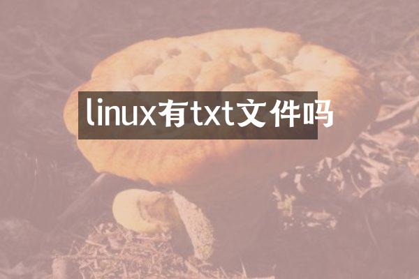 linux有txt文件吗