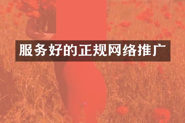 服务好的正规网络推广