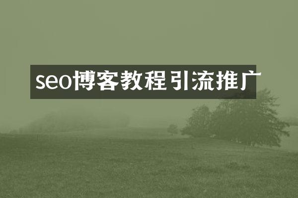 seo博客教程引流推广
