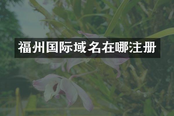 福州国际域名在哪注册