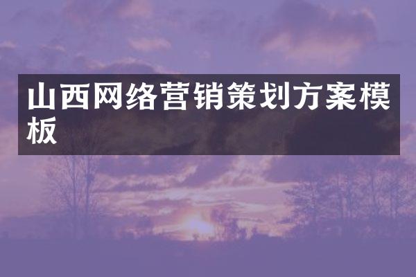 山西网络营销策划方案模板
