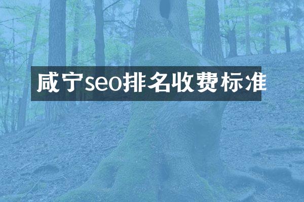 咸宁seo排名收费标准