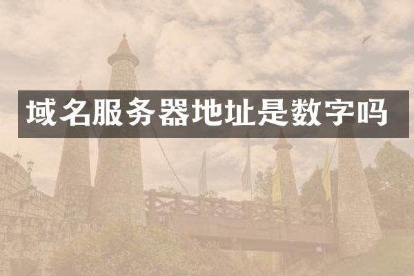 域名服务器地址是数字吗