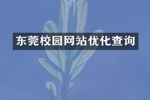 东莞校园网站优化查询