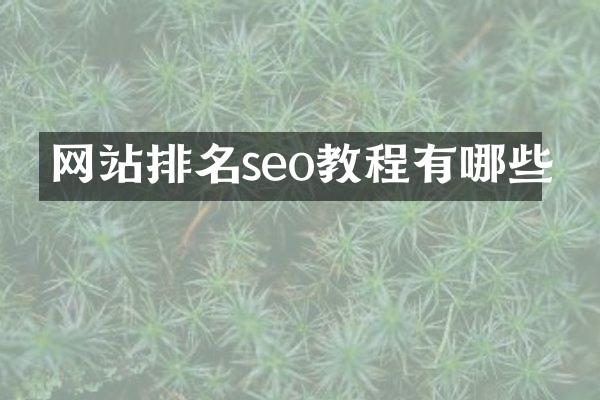 网站排名seo教程有哪些