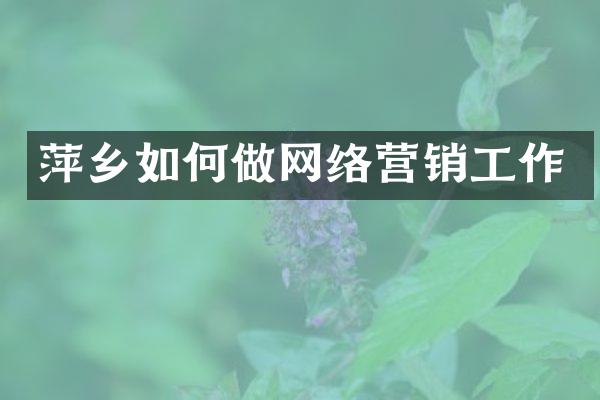 萍乡如何做网络营销工作