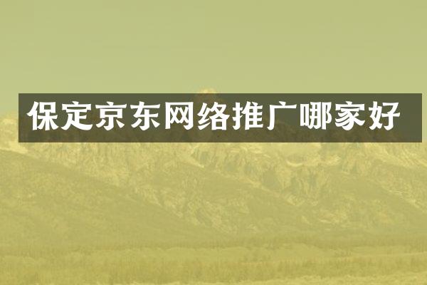 保定京东网络推广哪家好