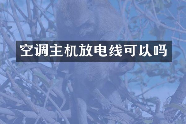 空调主机放电线可以吗