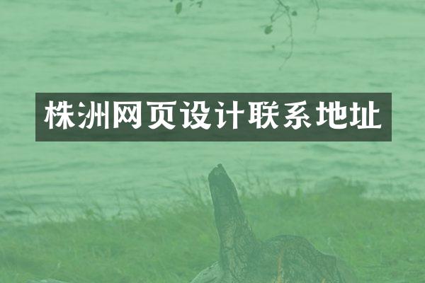株洲网页设计联系地址