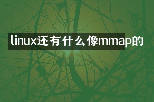 linux还有什么像mmap的