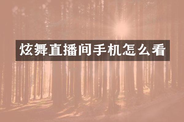 炫舞直播间手机怎么看