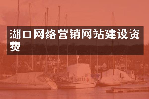 湖口网络营销网站建设资费