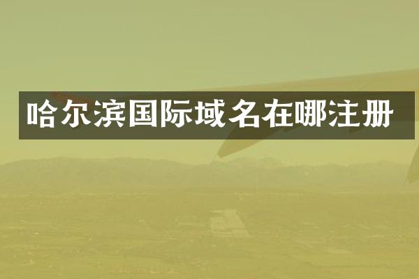 哈尔滨国际域名在哪注册