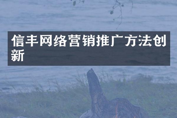 信丰网络营销推广方法创新