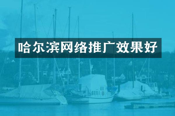 哈尔滨网络推广效果好