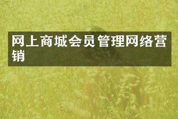 网上商城会员管理网络营销