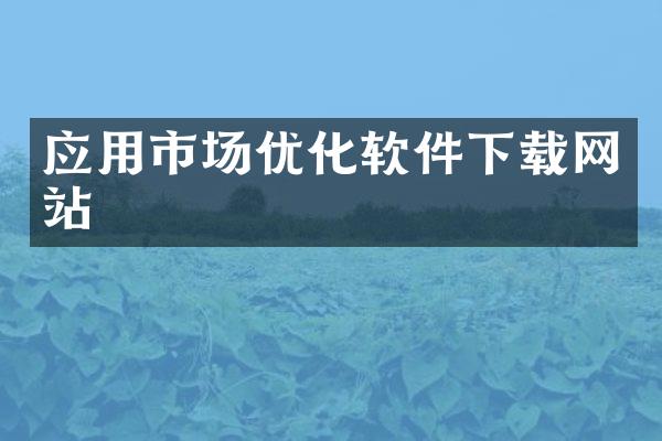 应用市场优化软件下载网站